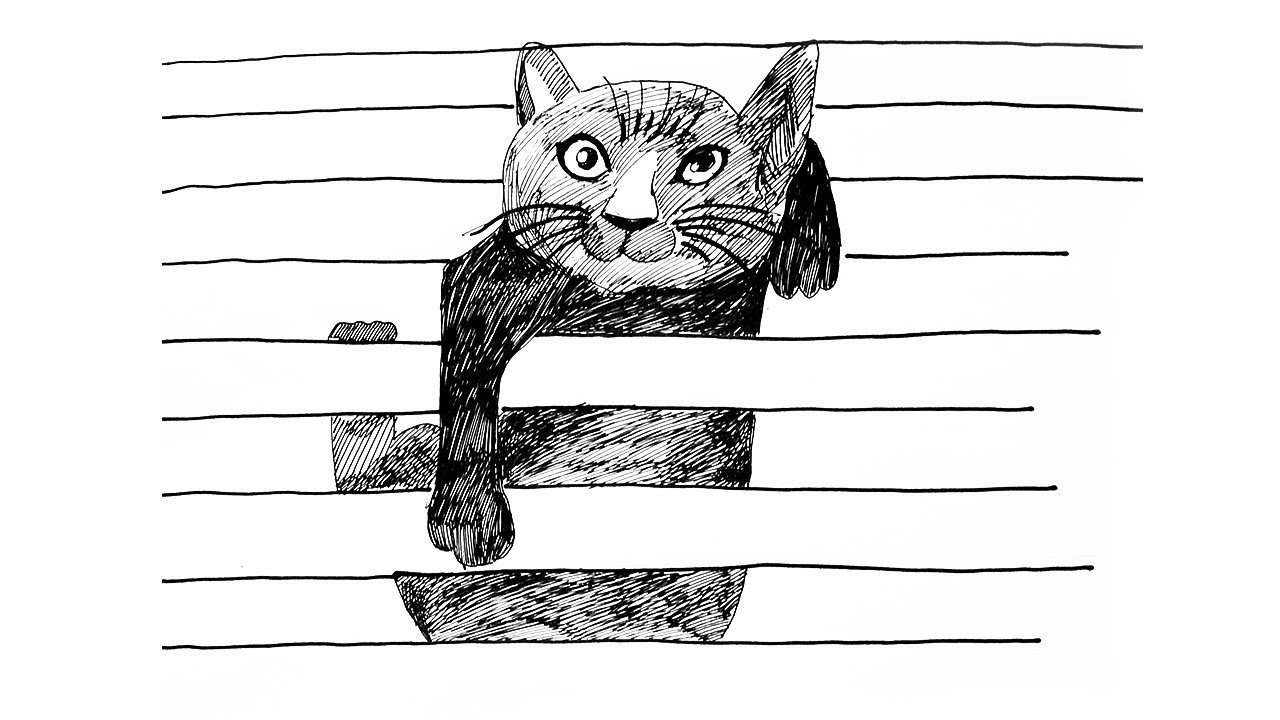 3D Cat Drawing How To Draw 3D Cat Illusion Cat Drawing On Line 