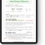 Free Lined Paper Template | Goodnotes For Lined Paper Split Into Two Columns Printable