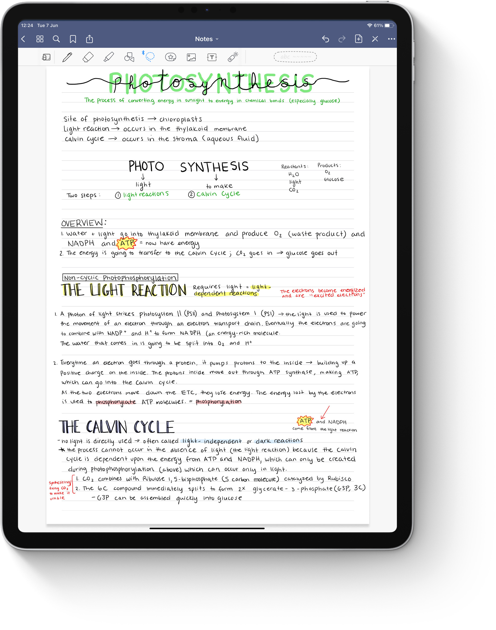 Free Lined Paper Template | Goodnotes for Lined Paper Split Into Two Columns Printable