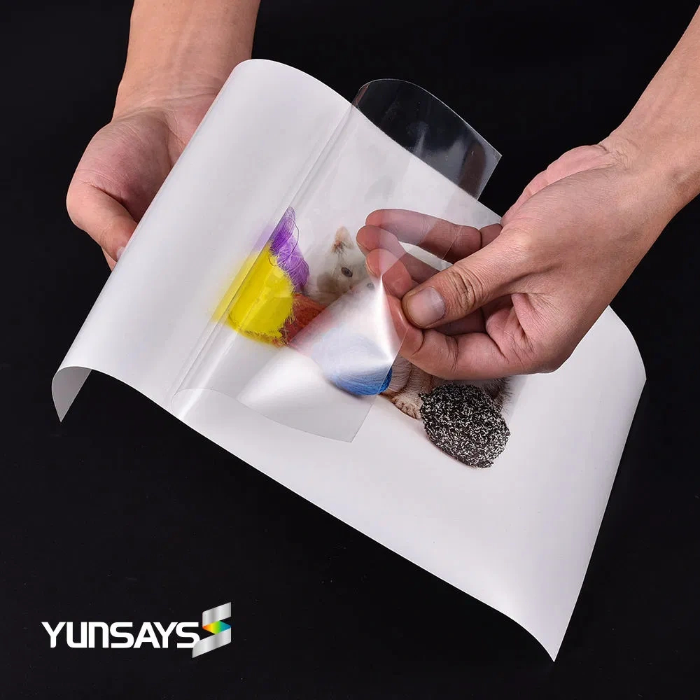 New Hot Sale A4 Sheet Pet Sticker Paper Non-Waterproof Vinyl Printable Sticker Labels 100% Transparent Clear Adhesive Vinyl intended for Printable Sticker Paper Clear No Liner Printing